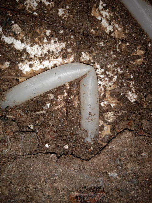 利津堵点精准查找